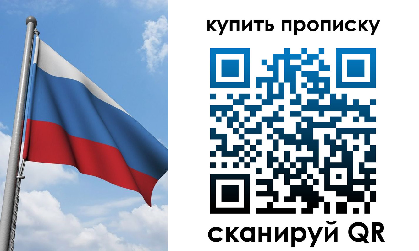 прописка поиск в Кингисеппе